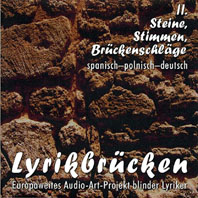 CD - Cover 'Steine, Stimmen, Brckenschlge'